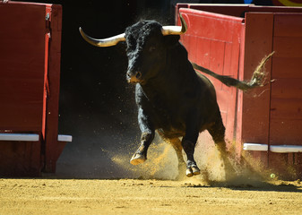 toro español