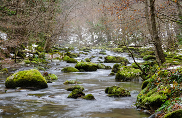 piedras con moho en un rio