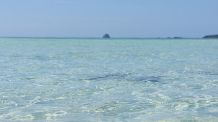 Resort white sand beach