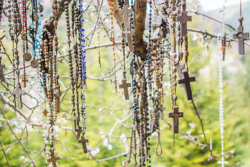 This is a capture of a branch of a tree which hold a lot of rosaries. Faithful people come to this tree and put their wish on it and pray 
