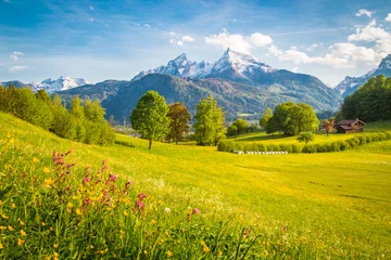 Foto auf Acrylglas Antireflex Idyllische Bergwelt in den Alpen mit blühenden Wiesen im Frühling © JFL Photography