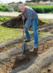 Farmer spreads rake garden beds
