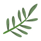 branch with leafs icon