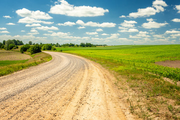 Summer landscape with a countryside road going along green field with young corn growing under blue sky with white fluffy clouds.
