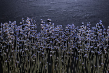 Lavender Flowers on a black stone background.