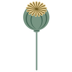 poppy flat illustration