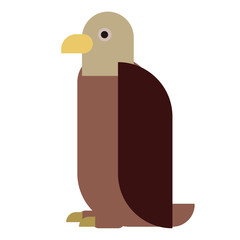 hawk flat illustration