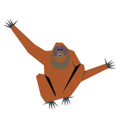 orangutan flat illustration © lkeskinen