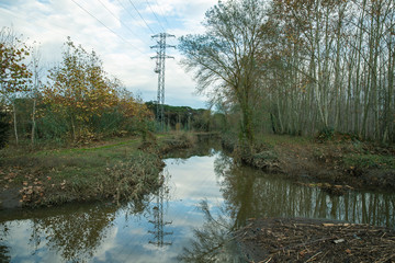 Fototapeta premium Sils wetlands