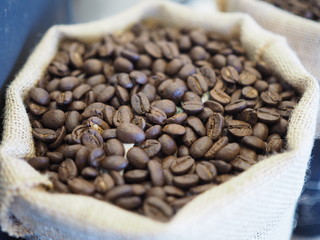 Coffee beans in burlap bag 