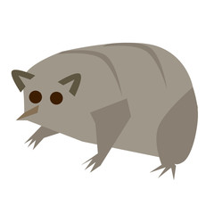 lemur flat illustration