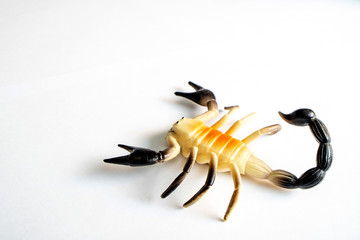 not real plastic Scorpion yellow on white background