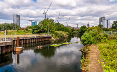 Stratford's changing skyline from the Bow Back Rivers Stratford, London, UK, 