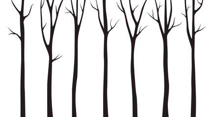 Birch tree wood silhouette on white background