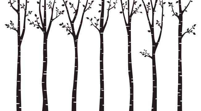 Birch tree wood silhouette on white background © Pure Imagination