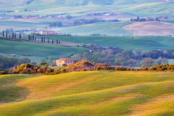 Fototapeta premium Sunlit field in the rural Tuscan landscape