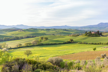 Fototapeta na wymiar Rustic Tuscan landscape in Italy