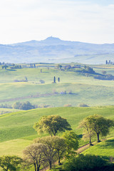 Rural landscape with a dirt road in the fields
