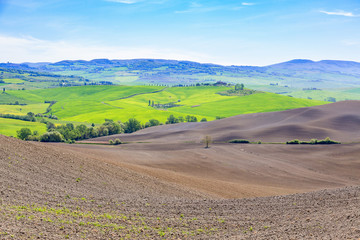 Obraz premium Rural landscape in Tuscany in spring