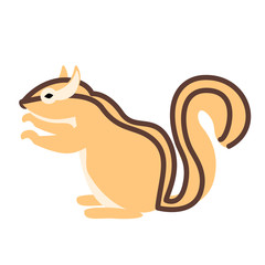 chipmunk flat illustration
