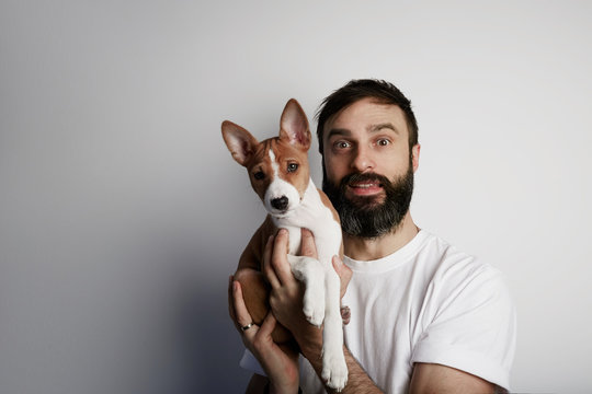 Handsome Bearded Man Holding His Basenji Puppy Dog In Arms With Love And Playing With Him, Against A White Background.