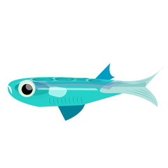 ocean fish flat illustration