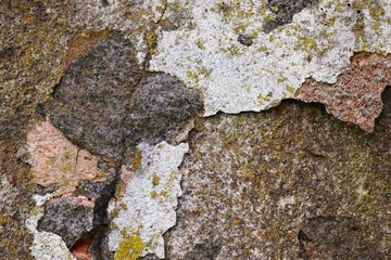 Close up detailed surface of weathered paint on different walls in high resolution