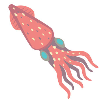 squid flat illustration