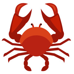 crab flat illustration