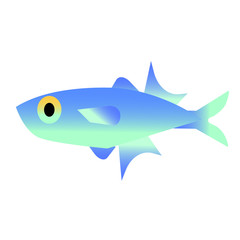 sea fish flat illustration