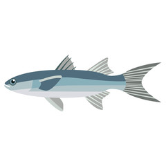 sea fish flat illustration