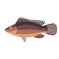 sea fish flat illustration