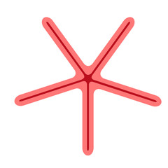 starfish flat illustration