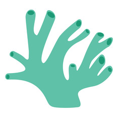 coral flat illustration