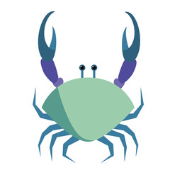 crab flat illustration