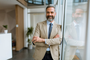 Portrait of handsome senior businessman