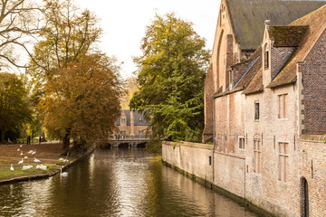 Beautiful view of medieval architecture and white swans on the canal near the Beguinage (Begijnhof) in Bruges (Brugge)