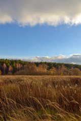 Fototapeta premium Wide steppe valley with yellow grass under cloudy sky, Russia