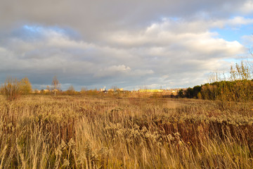 Obraz premium Autumn landscape. Field with dry grass. Dry yellowed grass and dark clouds