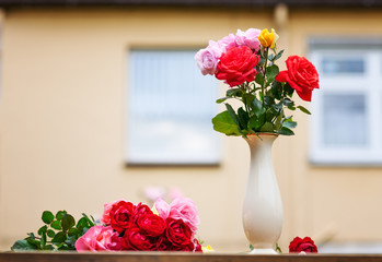 Garden roses in vintage white vase outdoors