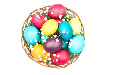 Fototapeta na wymiar Easter eggs in basket with gypsophila flowers isolated on white background