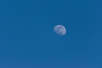 Obraz na płótnie Canvas moon photographed during the day 