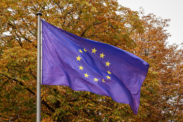 Waving EU flag. European flag on a background of autumn trees