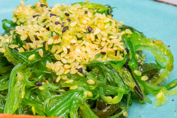 Seaweed Salad