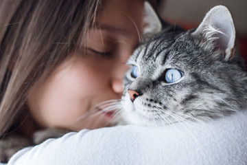 Woman at home in light room holding and hug her lovely fluffy cat. Gray tabby cute kitten with blue eyes. Pets, friendship, trust, love, and lifestyle concept. Friend of human. Animal lover. Close up.
