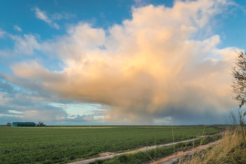 Wintry shower over the dutch countryside between the cities of Gouda and Leiden, Netherlands.