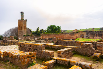 Fototapeta na wymiar Ruins of a Mosque at Chellah in Rabat Morocco