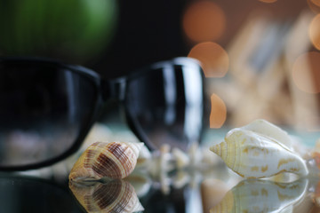 Shell and deck chair at summer vacation