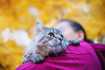 Smiling woman in the fall park holding her lovely fluffy cat. Girl and her gray cute kitten walking together outdoor. Seasons, pets, friendship, lifestyle concept. Friend of human. Autumn arrives.