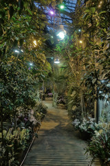 Obraz premium Inside a tropical greenhouse with exotic plants and trees